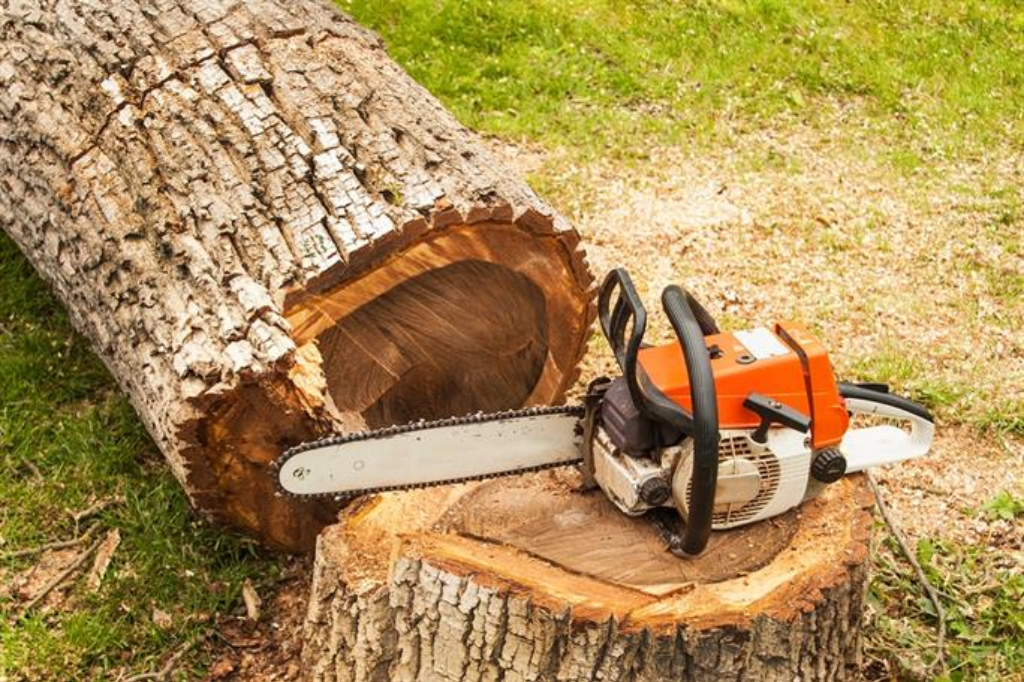 Precision cutting & stump work