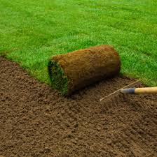 Lawn installation, Durbanville