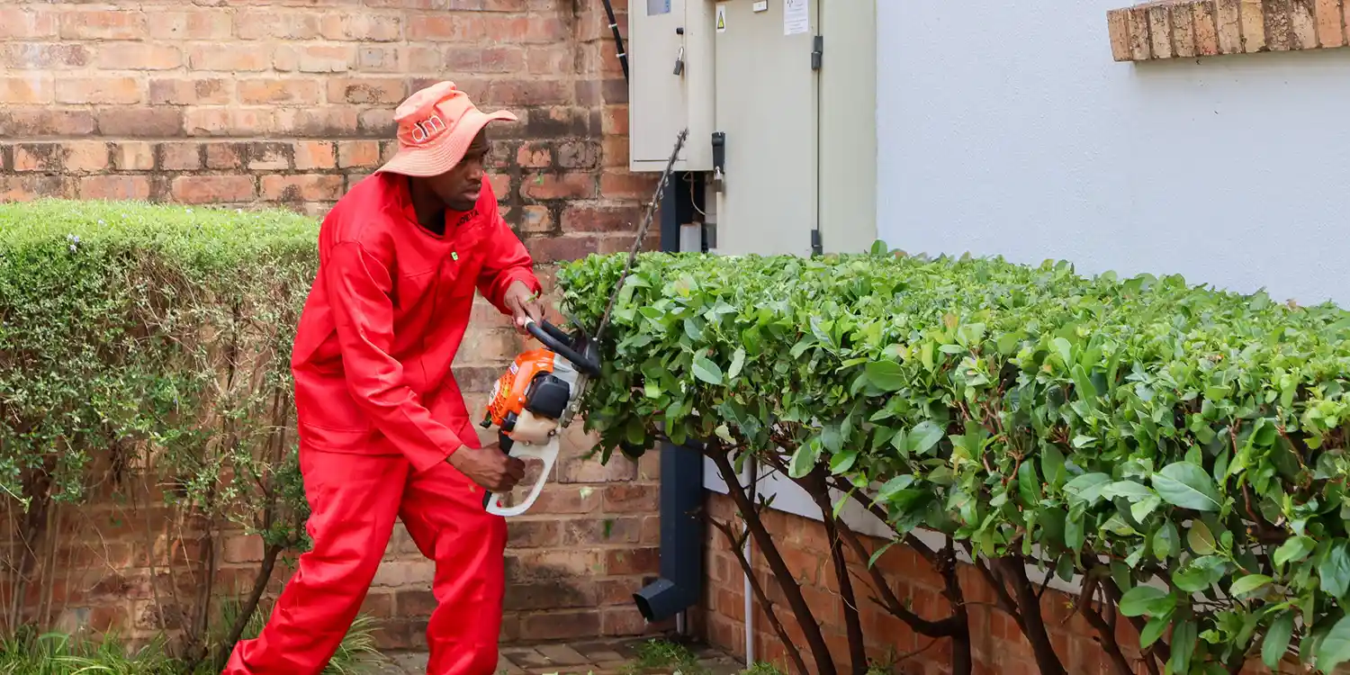 Residential garden maintenance