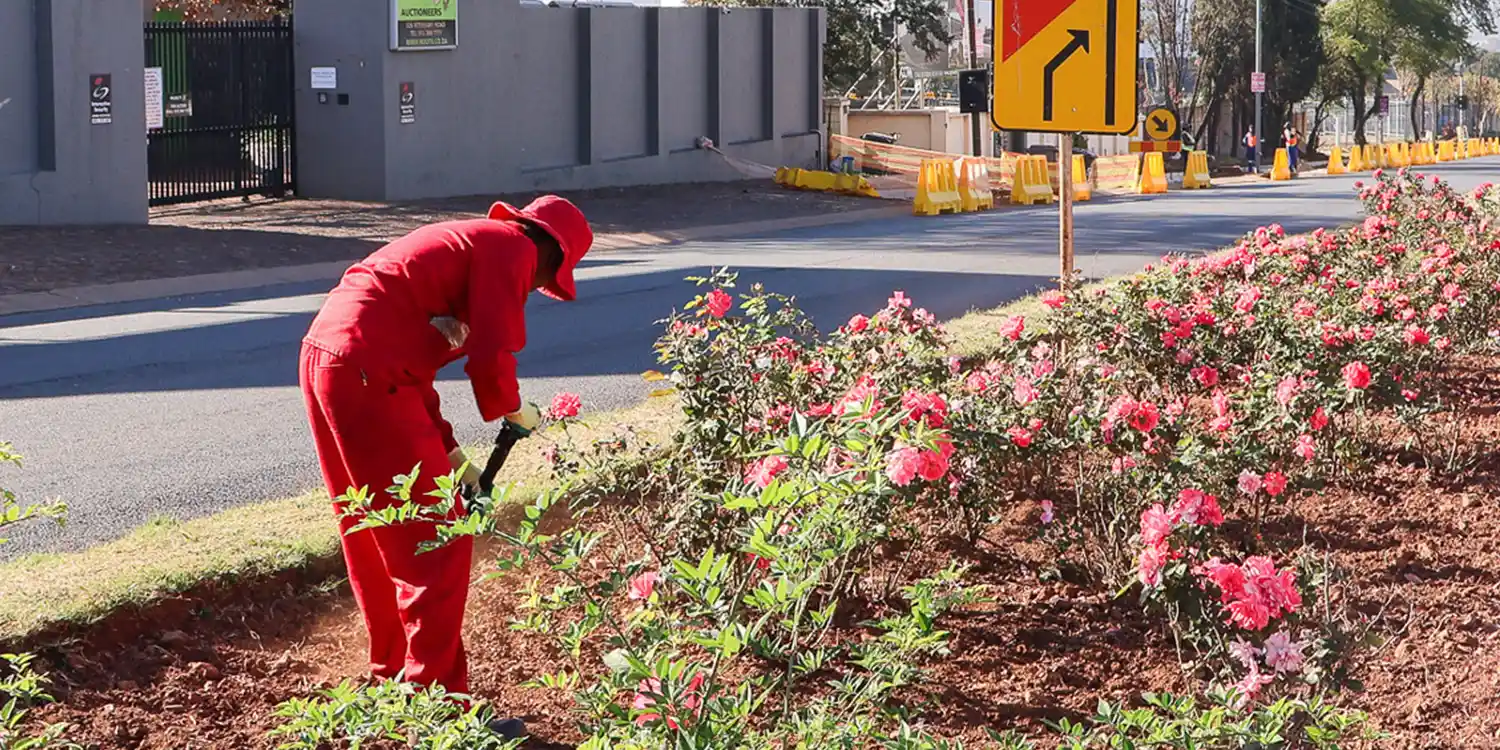 Community garden initiative
